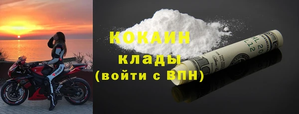 шишки Белоозёрский