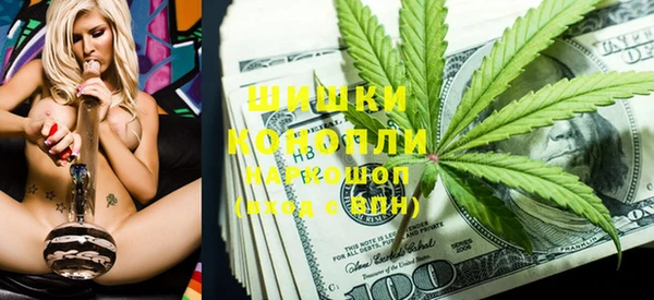 шишки Белоозёрский