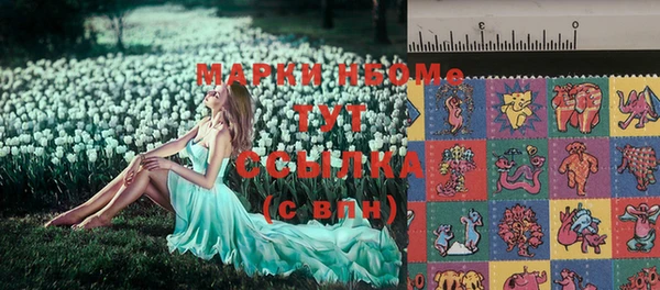 шишки Белоозёрский