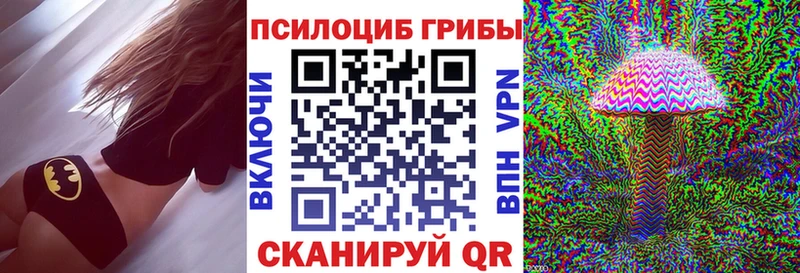 blacksprut онион дарнет шоп Новотитаровская Галлюциногенные грибы Psilocybe