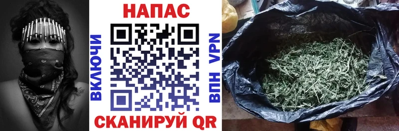 Бошки марихуана гибрид  наркота  Новотитаровская 